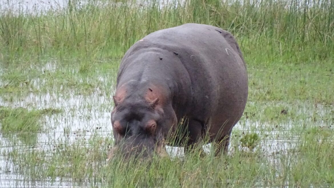 “Apartheid is bij wet verboden maar dat is nog niet tot iedereen doorgedrongen”,