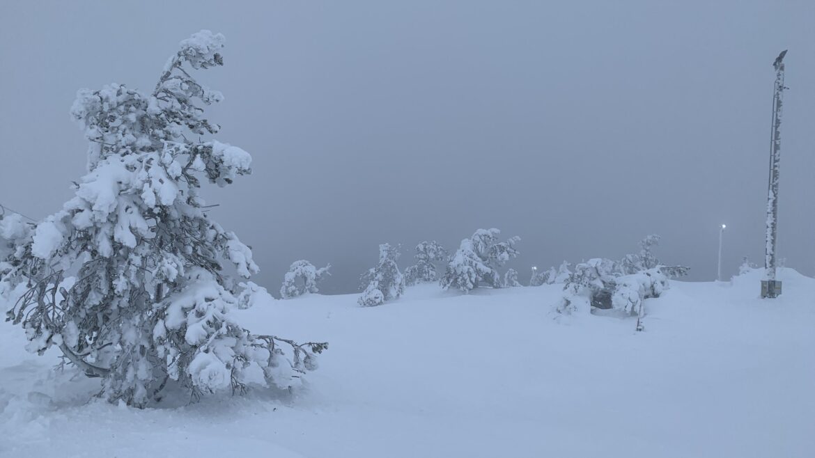 SURREALISTISCH SPROOKJE