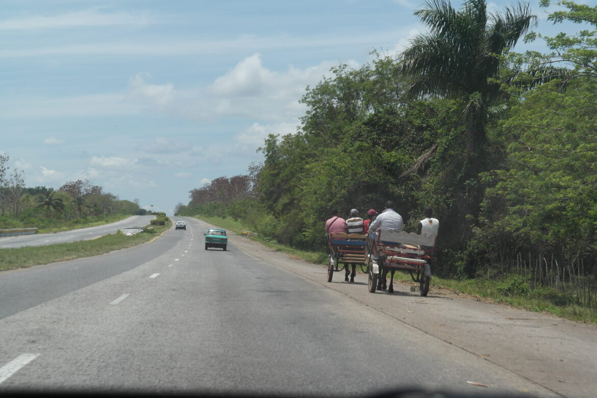 NAAR VINALES