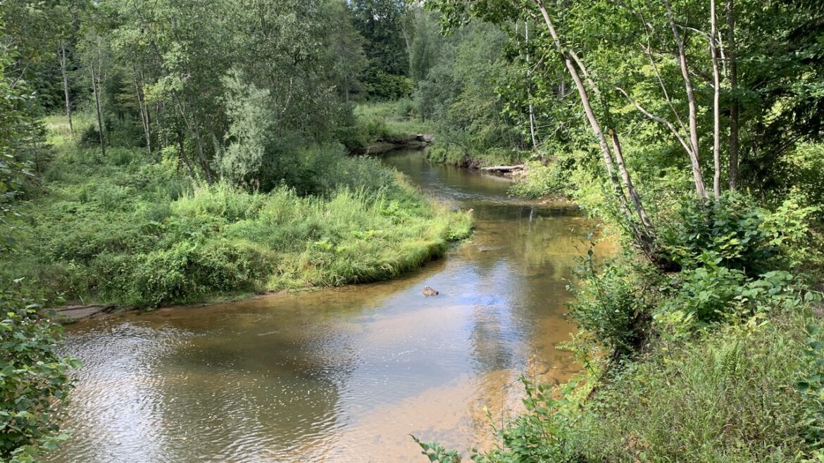 1 Beeld zegt meer dan 1000 Woorden