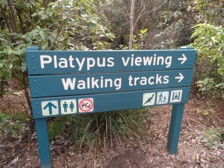 20 JULI: DID WE SEE THE PLATYPUS?
