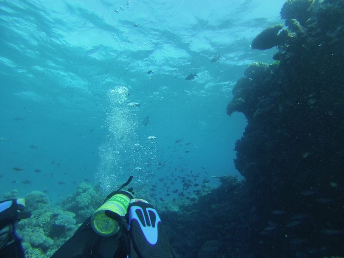 29, 30 EN 31 JULI: GREAT BARRIER REEF